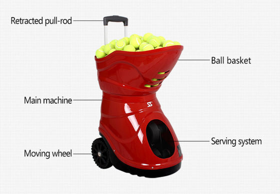Anfänger planieren die siboasi Tennisballmaschine, die horizontale Oszillation dient
